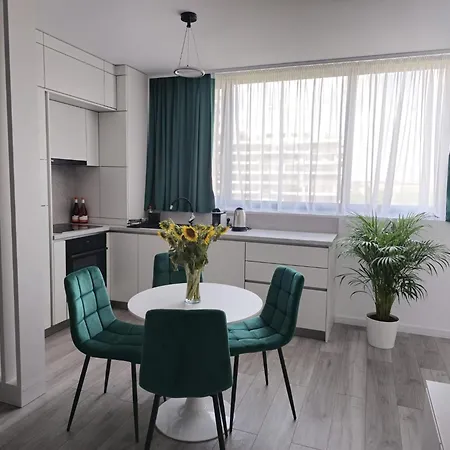 Xcity Apartment Timisoara