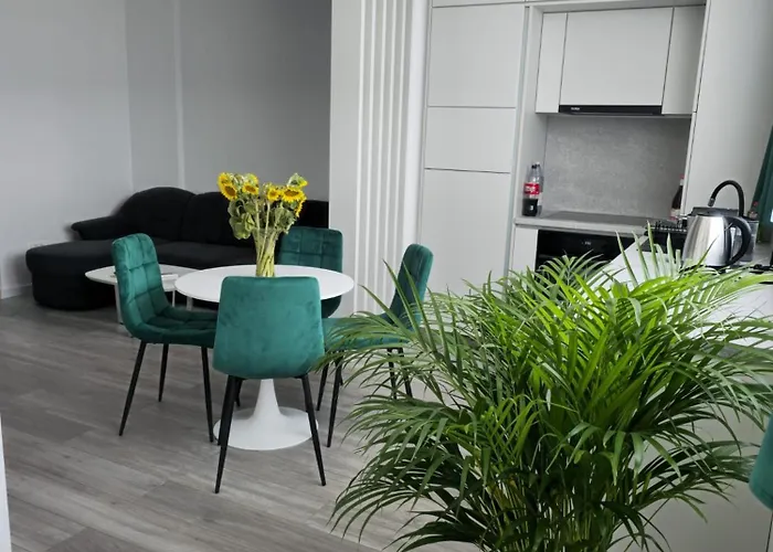 Apartment Xcity Timisoara